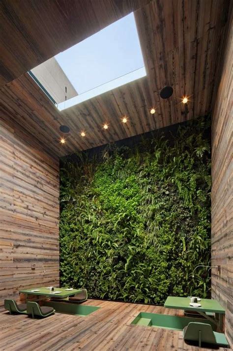 Indoor garden design ideas – types of indoor gardens and plant tips