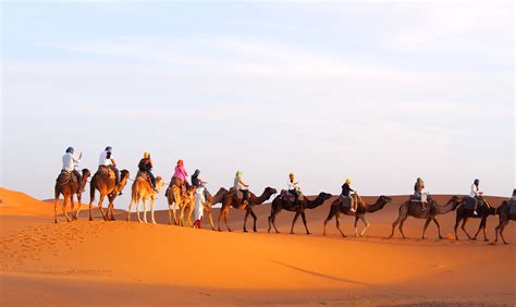 Sahara Desert Camel Trekking Tours: An Unforgettable Adventure In The Vast And Enigmatic Landscape