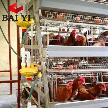 Chicken Poultry Farm Equipment For Sale In Malaysia - Buy Poultry Farm ...