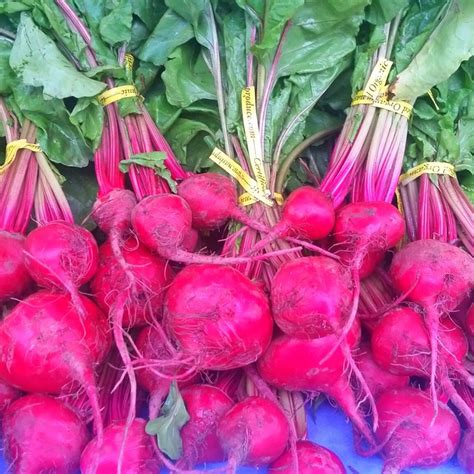 chioggia beets | Recipes from Nash's Organic Produce