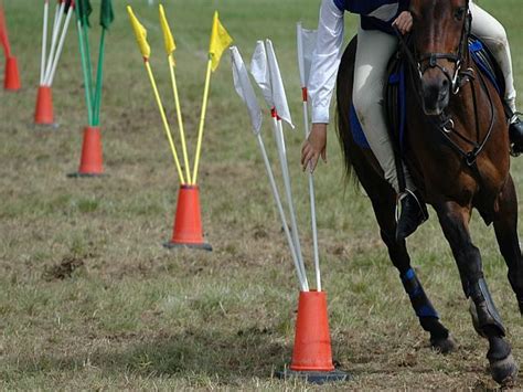 What is Gymkhana? Horse Games and Therapy