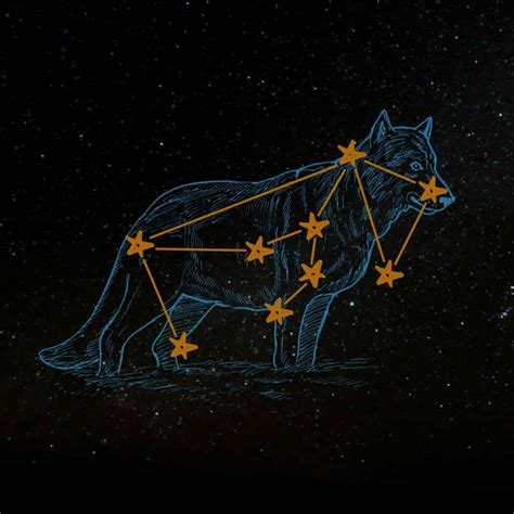 Lupus Constellation | Facts, Stories & Myths About The Wolf Constellation