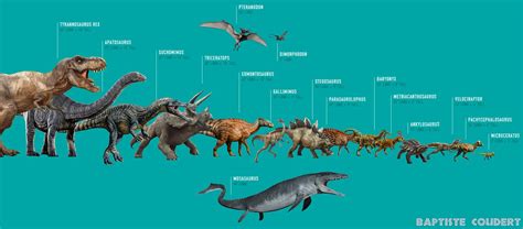 Allosaurus Size Chart / A comparison of the sizes of two large morrison ...