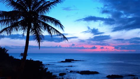 Free download Hawaii Wallpaper Download 20 [1600x900] for your Desktop ...