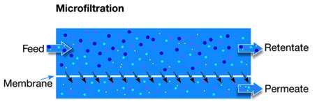 What is membrane filtration? | Alfa Laval