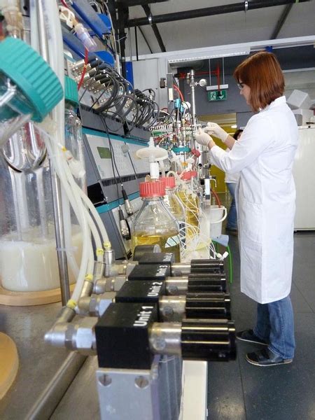 Biofuels In Biotechnology - Engineering's Advice