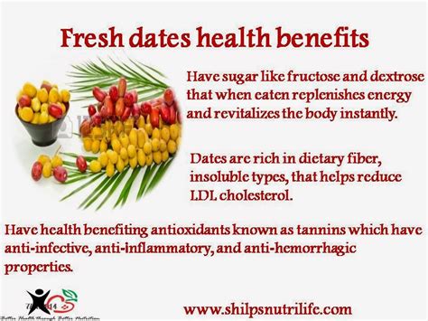 DIET WHAT IT REALLY MEANS!!!!!!!!: Fresh dates health benefits