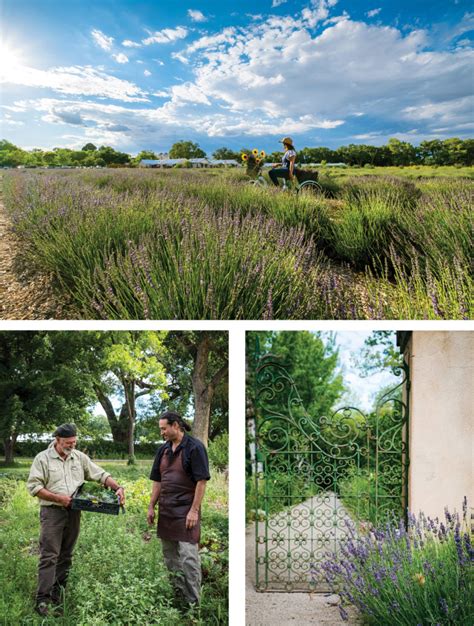 Los Poblanos Is Part Lavender Farm, Part Unique New Mexico Inn - Sunset ...