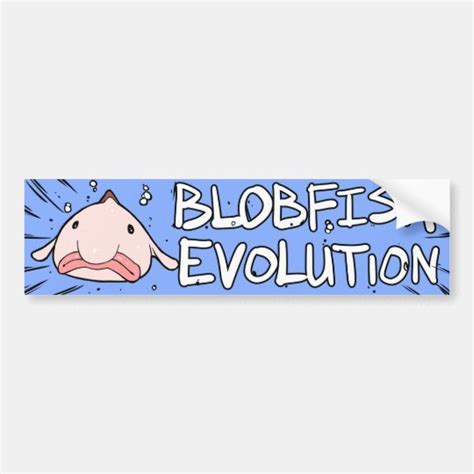 Blobfish Evolution Bumper Sticker | Zazzle.ca