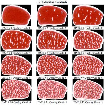 Grades of Wagyu | Wagyu beef, Kobe beef, Wagyu steak