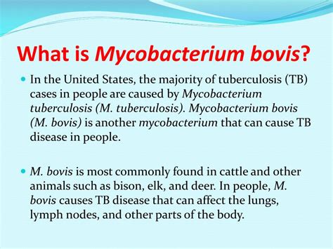 PPT - Mycobacterium bovis PowerPoint Presentation, free download - ID:6536340