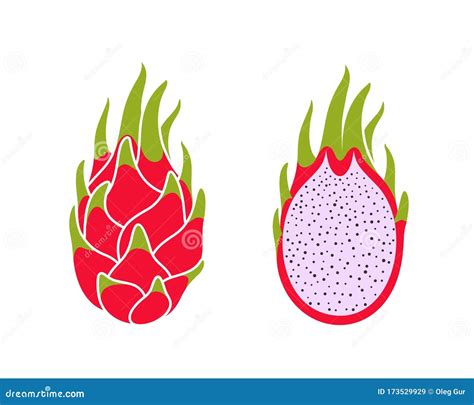 Dragon Fruit Logo. Isolated Dragon Fruit on White Background Stock Vector - Illustration of ...