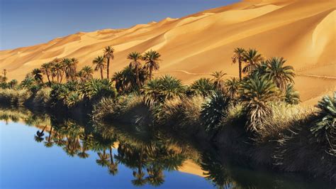 Desert Oasis Wallpaper (57+ images)