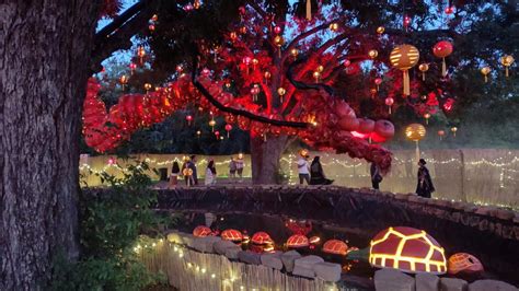 See the Magic of 5,000 Glowing Pumpkins | Pumpkin Nights in Arlington, TX - Field Trip Texas