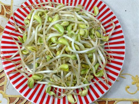 Simply Cooking and Health: Rainbow Bean Sprouts Stir-fry and Soy bean stir fry