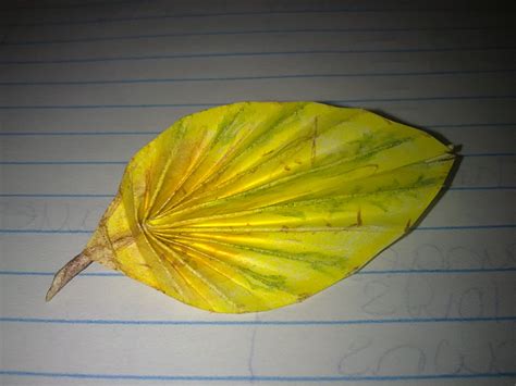 Origami fall leaf by graffitijim on DeviantArt