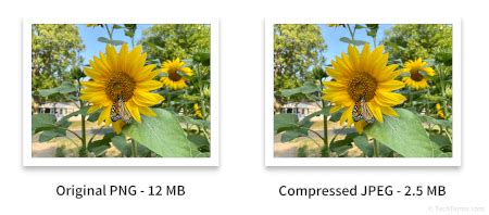 Lossy Definition - What is lossy media compression?