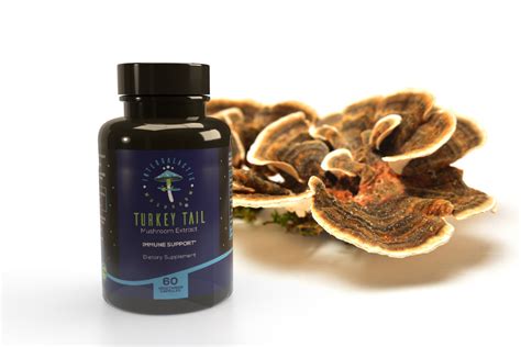 Organic Turkey Tail Mushroom Extract Capsules - Immune System Support – Intergalactic Mushroom