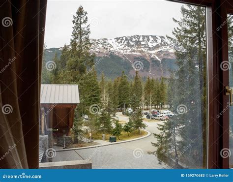 A view at Girdwood Alaska stock image. Image of trees - 159270683