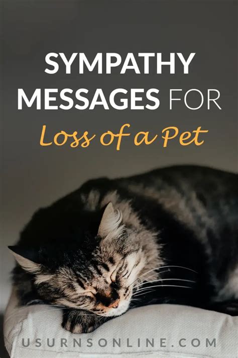 50 Heartwarming Sympathy Messages for Loss of Pet » US Urns Online