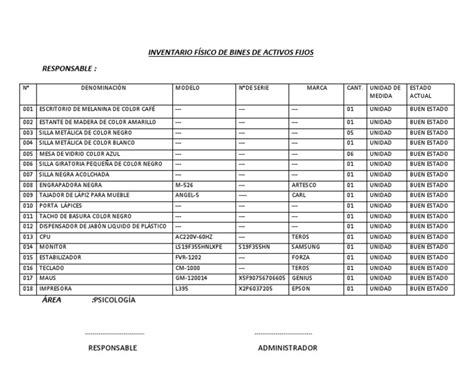 Modelo de Inventario Físico de Bienes de Activos Fijos | PDF
