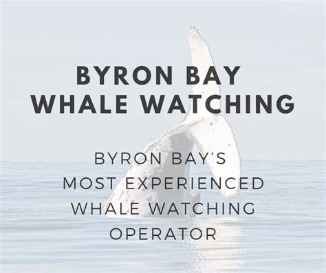 Byron Bay Whale Watching | Whale Watching Tours - Gold Coast