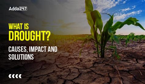 What is Drought? Causes, Impact and Solutions