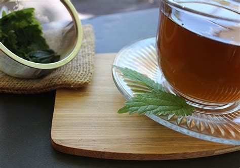 Stinging Nettle Benefits as a Nutritive Herb and Energizing Tea