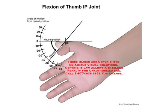 Flexion of Thumb IP Joint