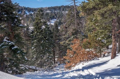 Sandia Peak Ski Area | David Hood Photography