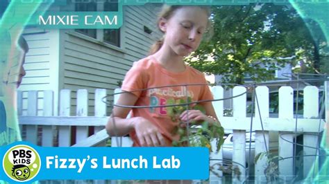 FIZZY'S LUNCH LAB | Mixie Reports: Family Meal Time | PBS KIDS | WPBS ...