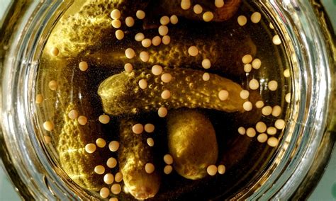 Pickles Gherkins Vegetables - Free photo on Pixabay