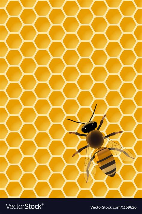 Bee on honeycomb Royalty Free Vector Image - VectorStock