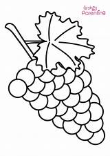 Easy Grapes Coloring Page For Kids  FirstCry Parenting sketch template