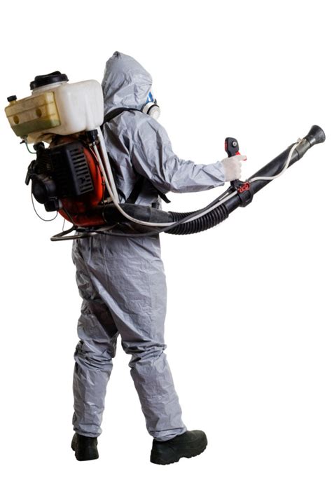 Fumigation Cost And Why It’s Worth Every Penny – Termite Treatment Cost