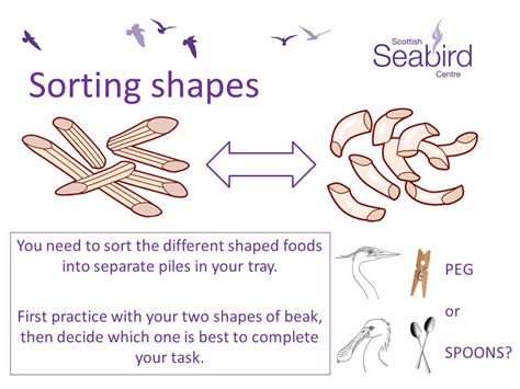 Scottish Seabird Centre - Adaptations classroom circus activity ...