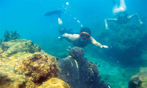 Snorkeling in Cahuita National Park