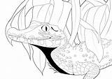 Colouring Book Page  Caiman Etsy sketch template
