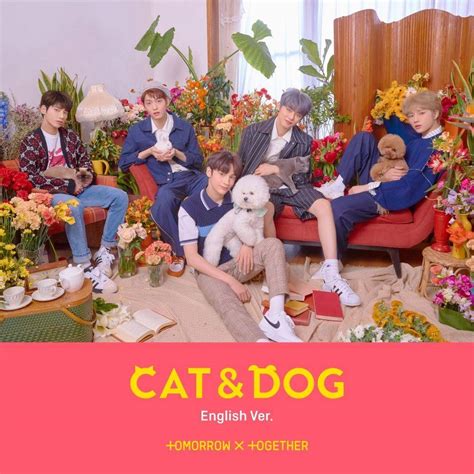 TXT (투모로우바이투게더) - Cat & Dog (English Ver.) Lyrics » Color Coded Lyrics | Lyrics at CCL