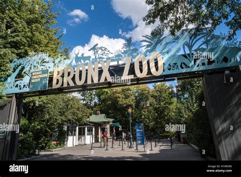 The Bronx Zoo, Wildlife Conservation Society, Bronx Park, Bronx, NYC Stock Photo - Alamy