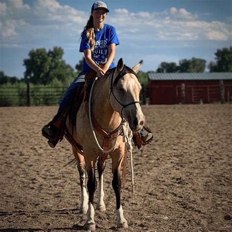 Equine Youth in Action: Training Mustang Horses-Colorado Horse Source