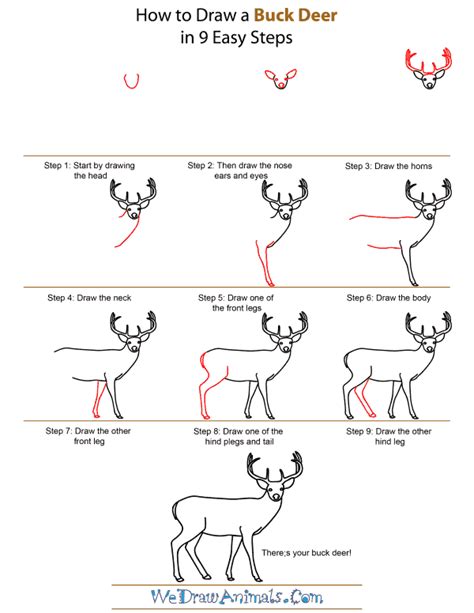 How To Draw A Deer Head Step By Step Easy