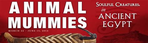 Salima Ikram Lecture on Animal Mummies – Bowers Musuem, California ...