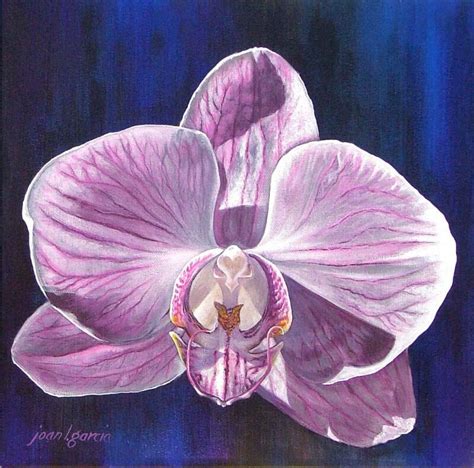 Orchid single | Orchid drawing, Orchid painting, Orchid paintings