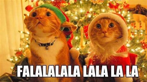 24 Hilarious Christmas Memes To Post During The Holidays