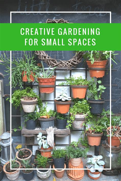 Creative Gardening for Small Spaces | Apartment Living