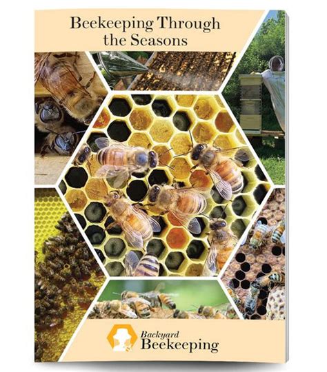 Beekeeping Through the Seasons Guide – Acres USA