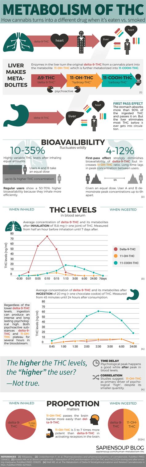 Human Metabolism of THC – Sapiensoup Blog