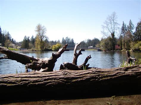 Spanaway Lake,Washington State | Evergreen state, Favorite places ...