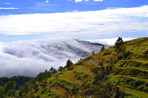 Mt. Pulag (Ambangeg Trail) Mountaineering Adventure